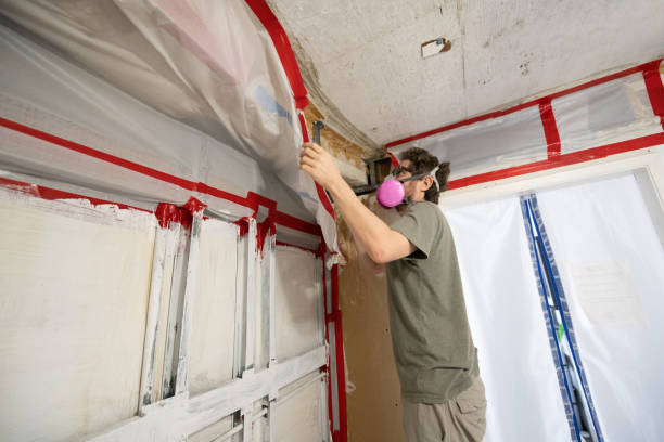 Best Biohazard Mold Removal  in Boscobel, WI